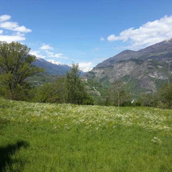 annunci alloggi aosta appartamenti in vendita presso agenzia immobiliare Aosta Nord